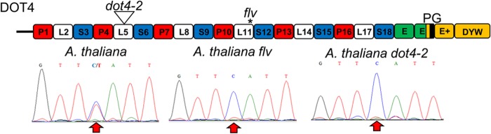 FIGURE 2.