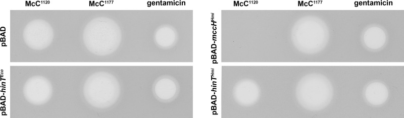 FIG 3