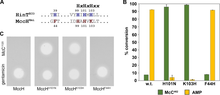 FIG 7