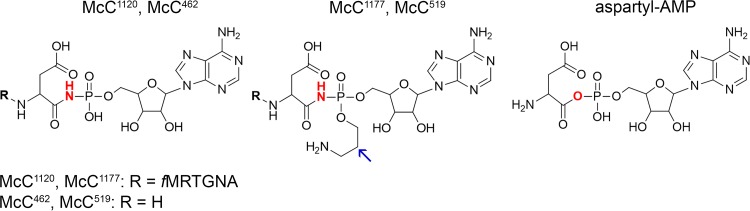 FIG 1