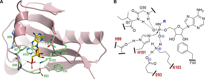 FIG 8