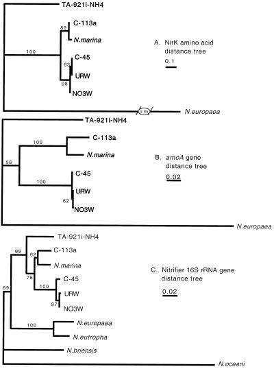 FIG. 5