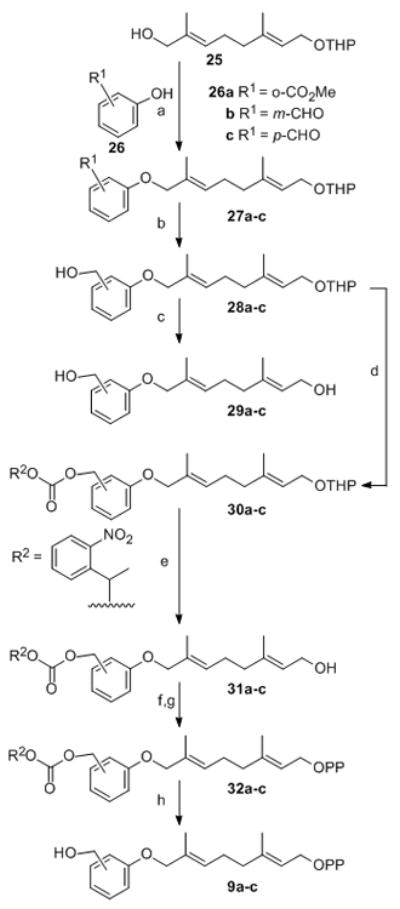 Scheme 4