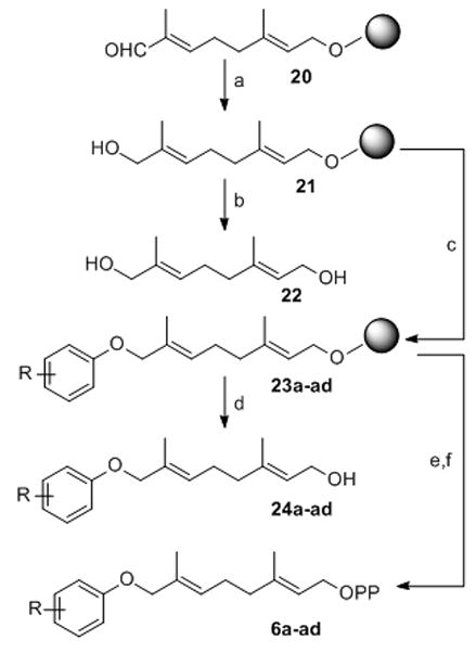 Scheme 3