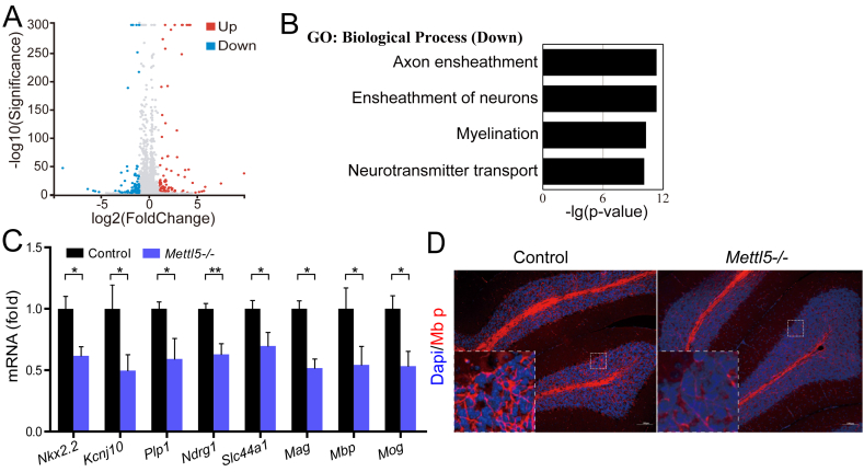 Figure 4