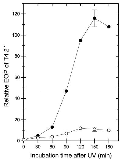 FIG. 5