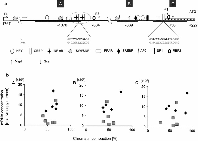 Fig. 1