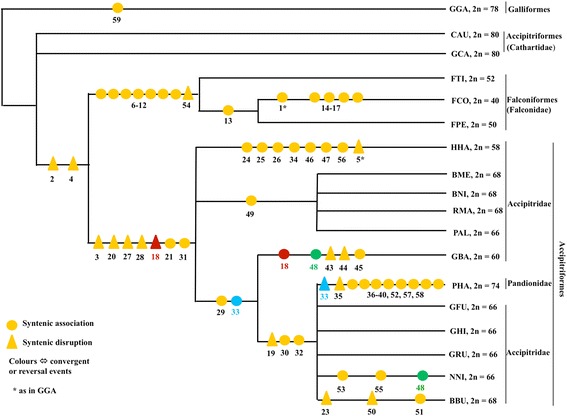 Fig. 6