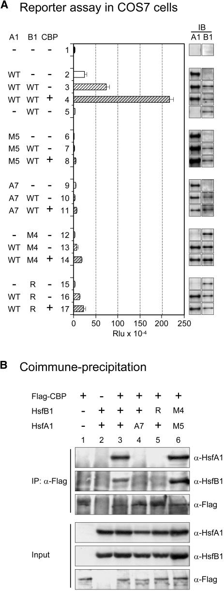 Figure 6.