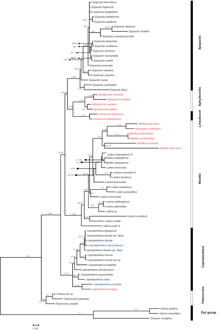 Figure 1.