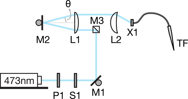 Extended Data Fig. 9