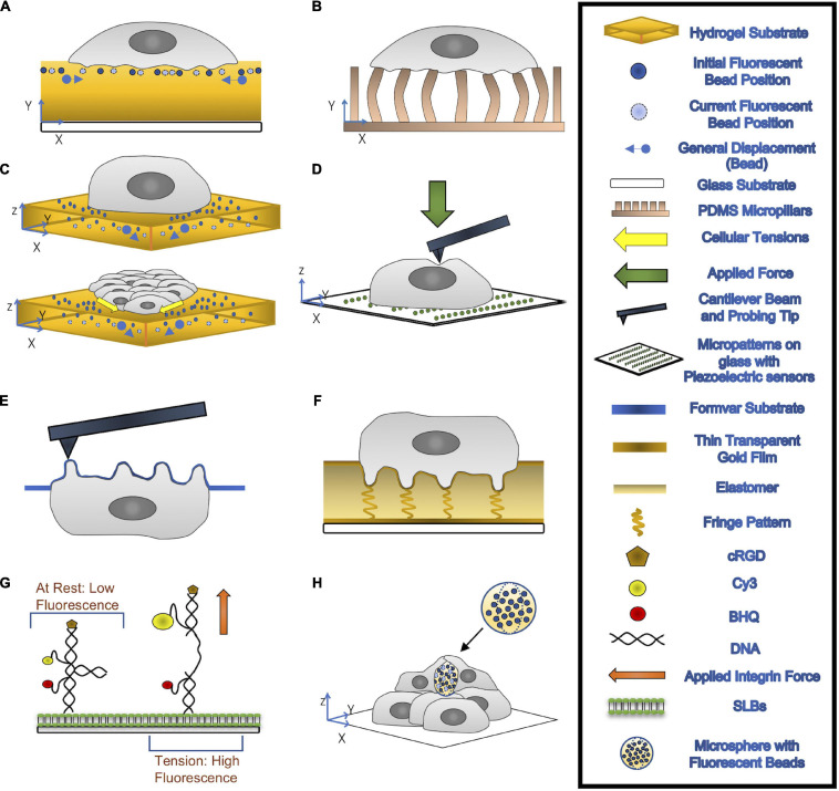 FIGURE 2