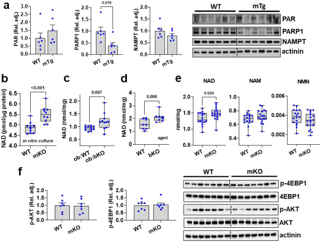 Extended Data Figure 5.