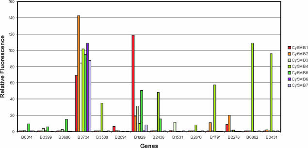 Figure 5