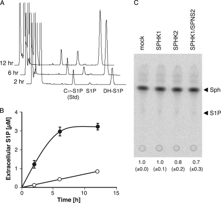 FIGURE 1.