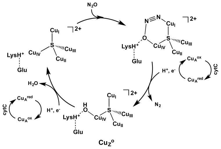 Scheme 2