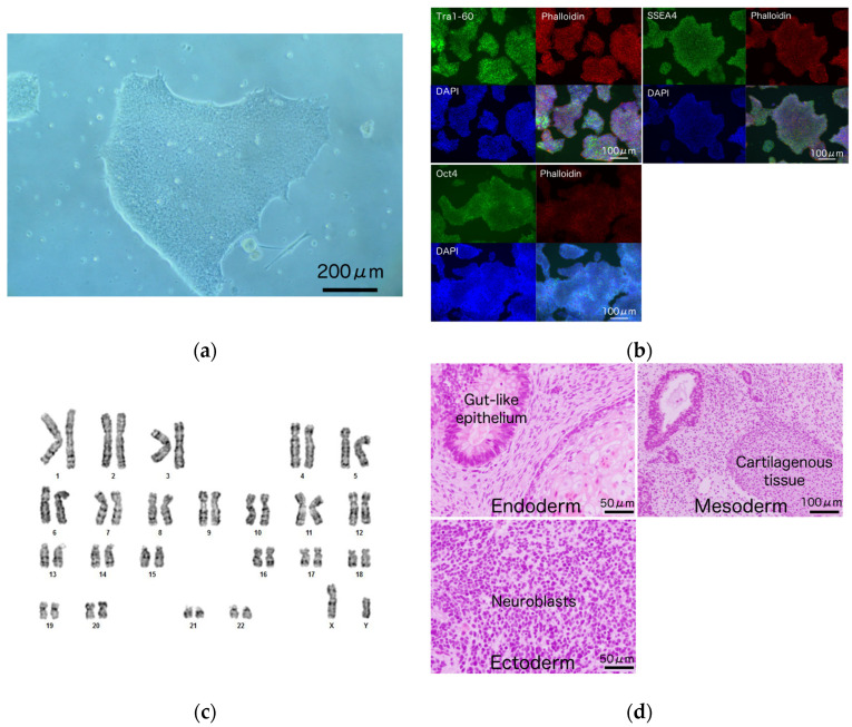 Figure 2