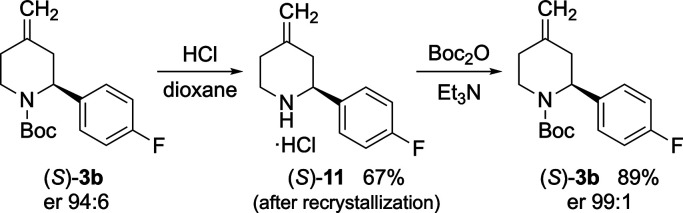 Scheme 8