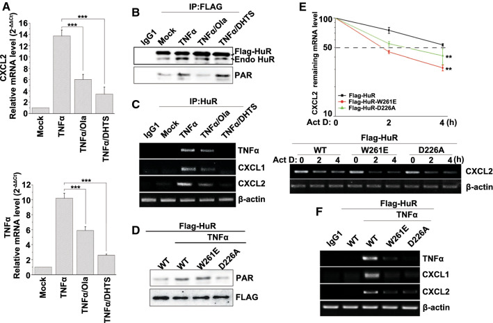 Fig. 6