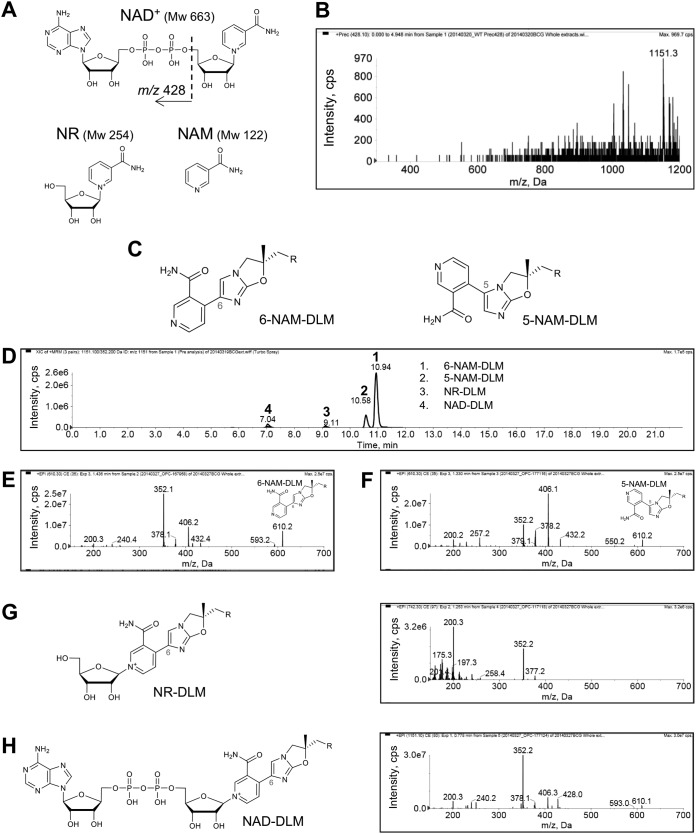 FIG 3