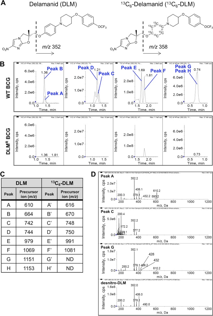 FIG 2