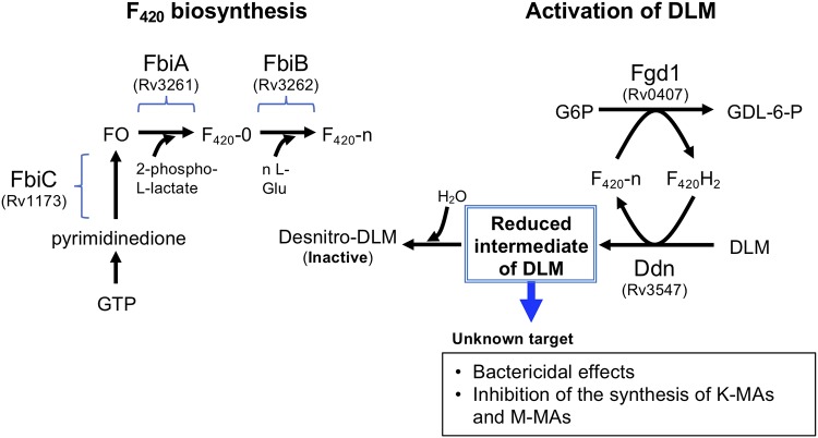 FIG 1