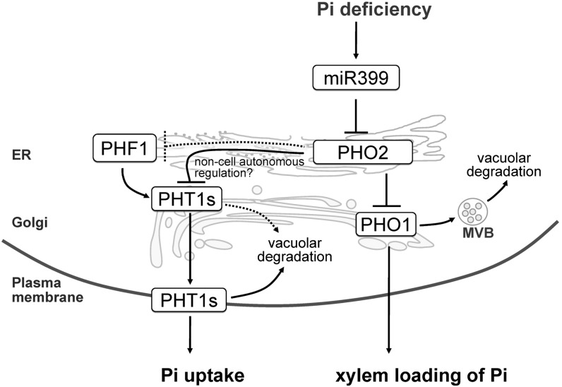 Figure 9.