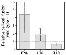 Fig. 5