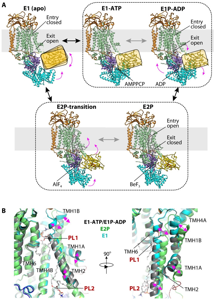 Figure 5.