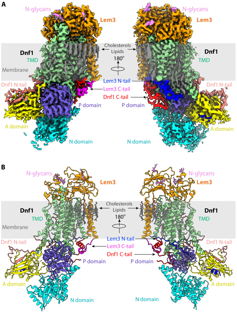 Figure 2.