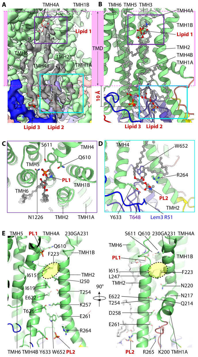 Figure 3.