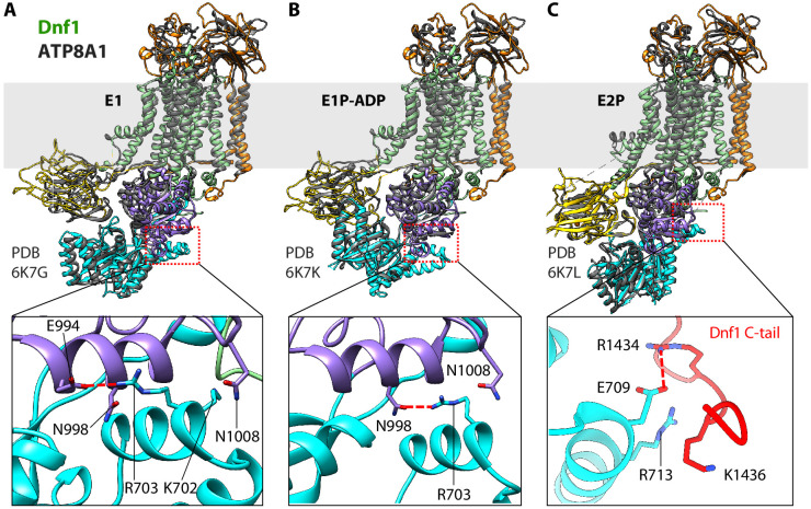 Figure 6.