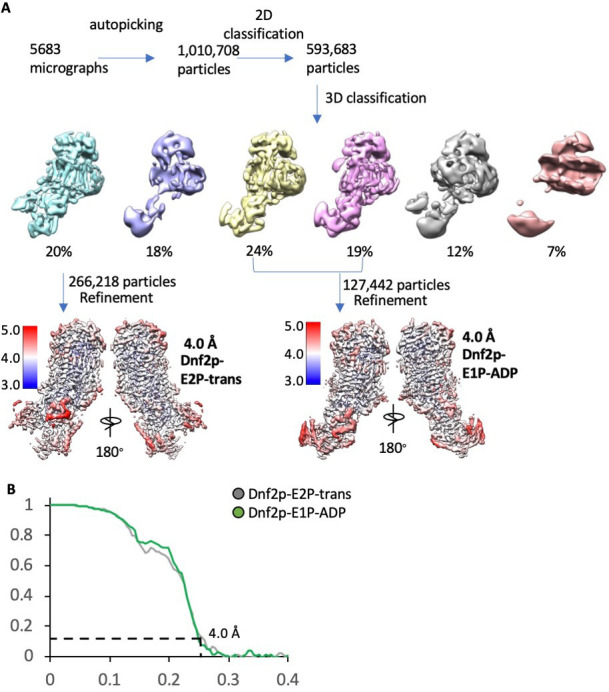 Figure 2—figure supplement 7.