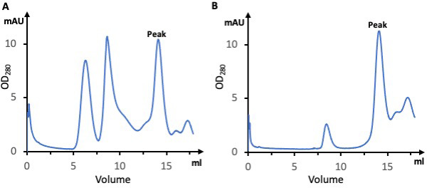 Figure 1—figure supplement 1.