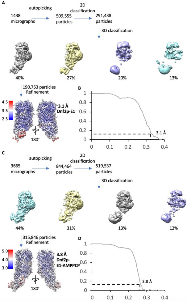 Figure 2—figure supplement 5.