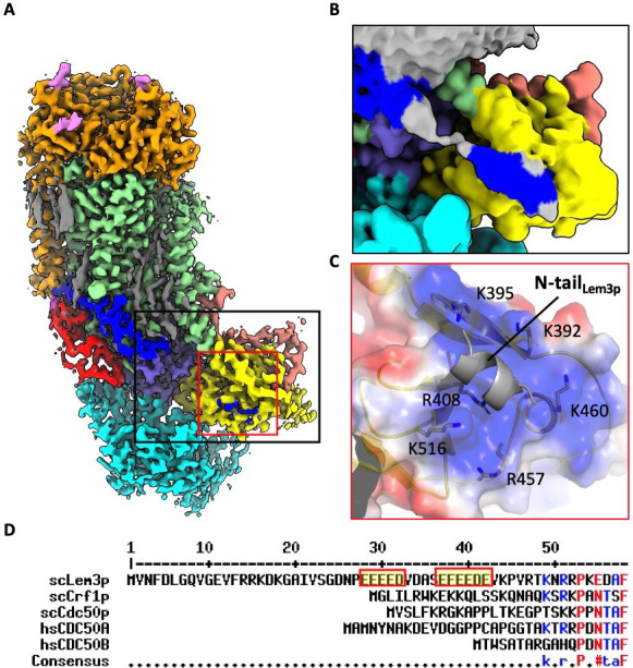 Figure 2—figure supplement 11.