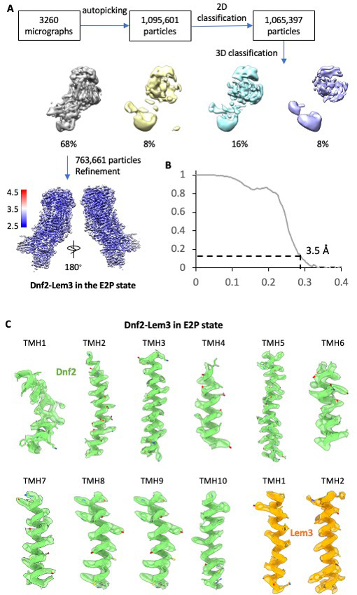 Figure 2—figure supplement 9.