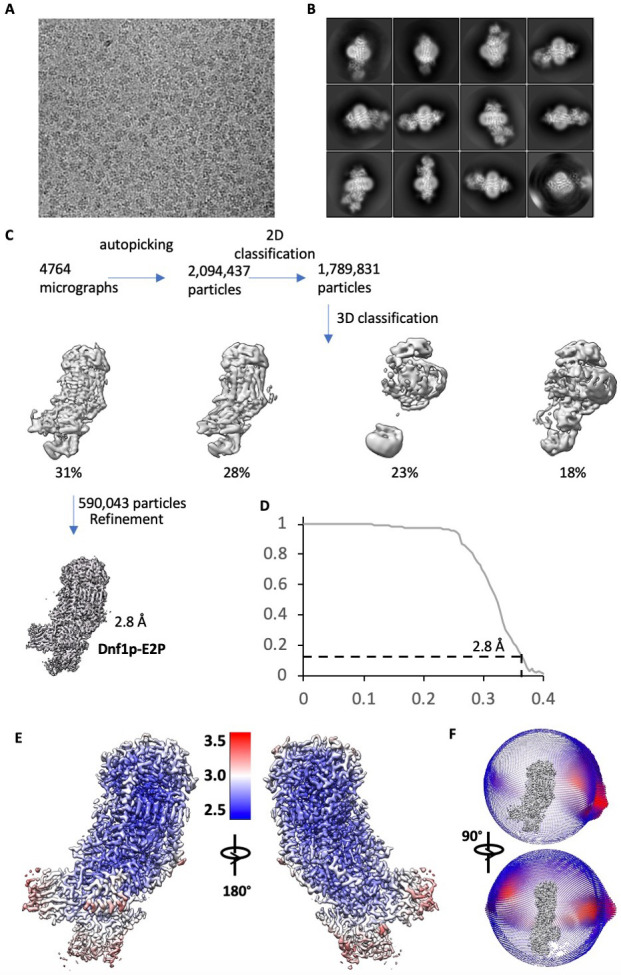 Figure 2—figure supplement 1.