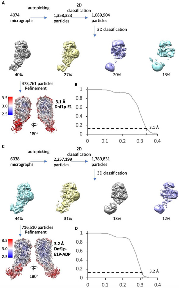 Figure 2—figure supplement 3.