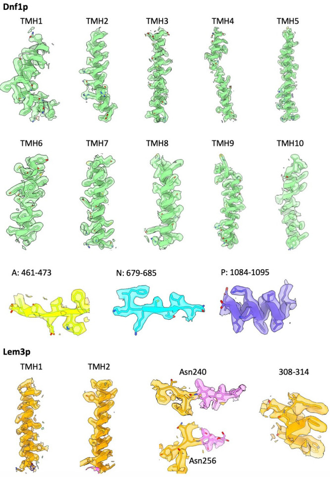 Figure 2—figure supplement 2.