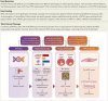Structured Graphical Abstract