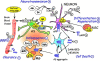 Fig. (1). Retinoid Dramatis Personae (Characters Involved in Retinoid Therapy).