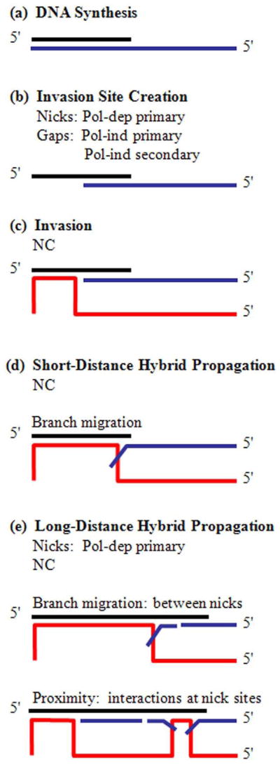 Figure 8