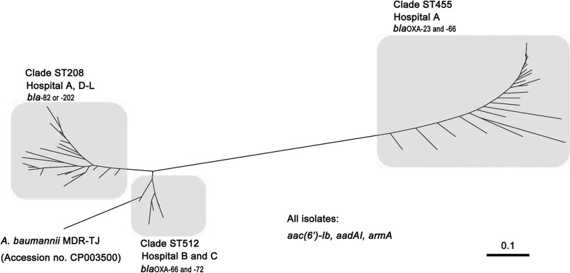 FIG 1