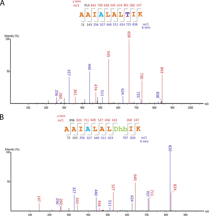 FIG 3