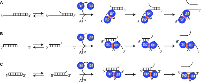 Figure 7.