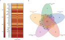 Figure 6