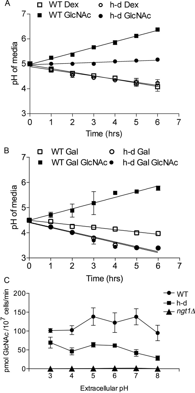 FIGURE 4: