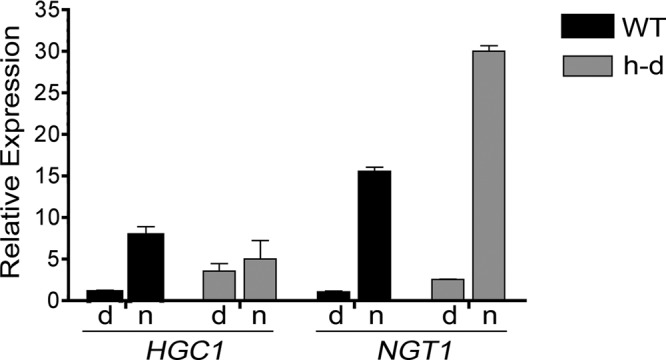 FIGURE 6: