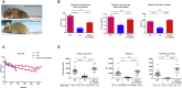 Figure 6